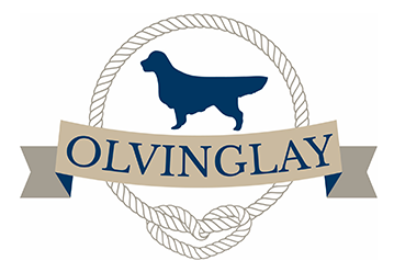 Olvinglay